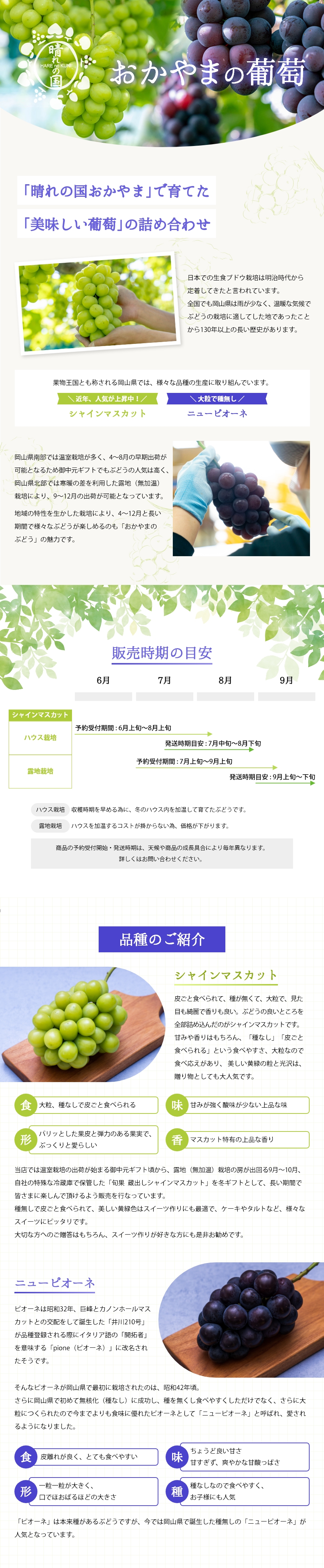 岡山県産ニューピオーネ