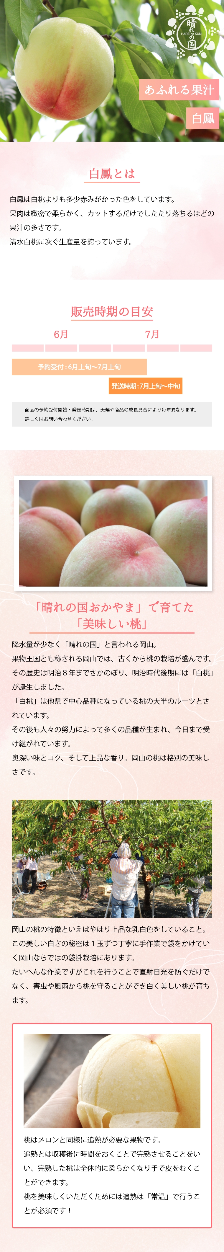 AHH-5】 岡山県産 白鳳 5玉 【7月上旬～】 | うまいな岡山