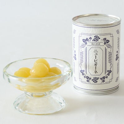 ニューピオーネ缶詰