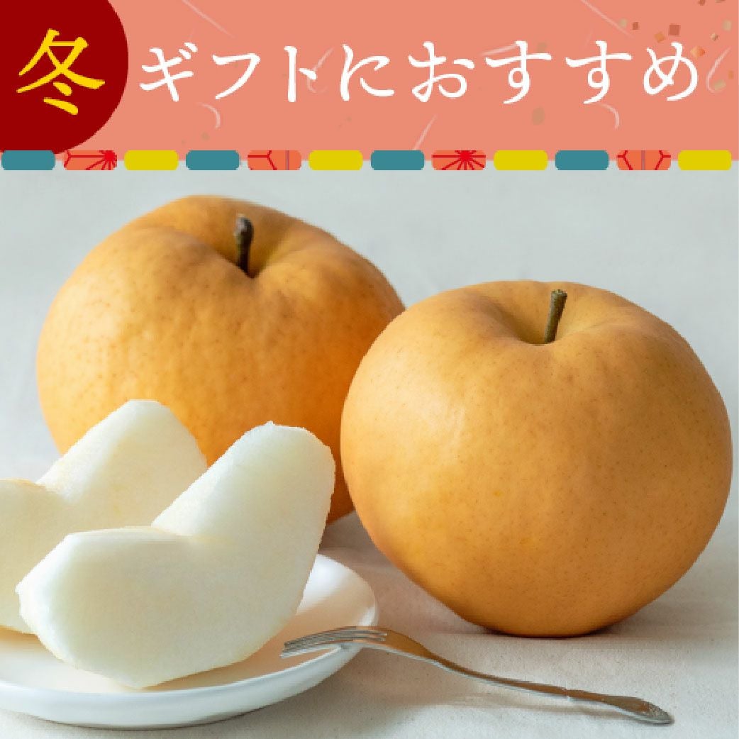 よっしー 岡山県産 あたご梨 2個入り 予約商品】岡山県産あたご梨（愛宕梨）特大2玉（11月下旬～12月中頃