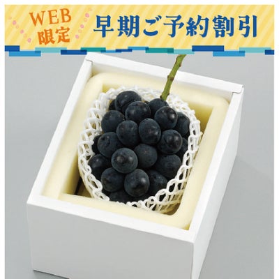 岡山のニューピオーネ早期割