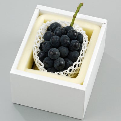 岡山のニューピオーネ
