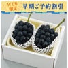岡山のニューピオーネ早期割