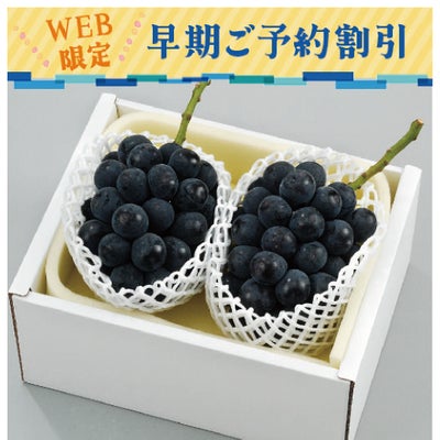岡山のニューピオーネ早期割