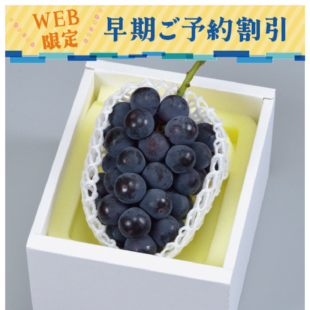 岡山のニューピオーネ早期割