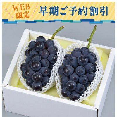 岡山のニューピオーネ早期割