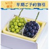 岡山のぶどう早期割