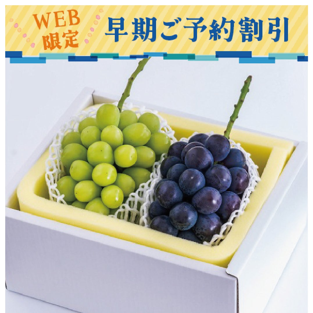岡山のぶどう早期割