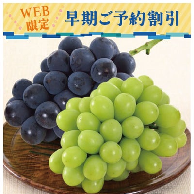 岡山のぶどう早期割