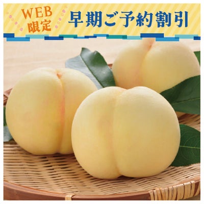 岡山の桃早期割