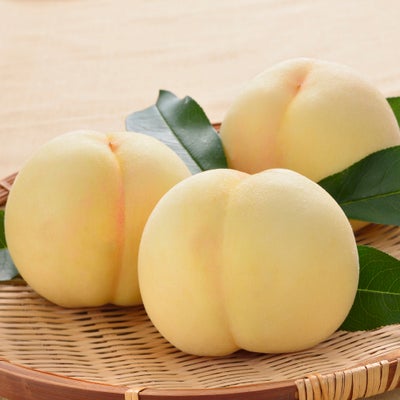 岡山の桃