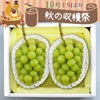 岡山県産シャインマスカット