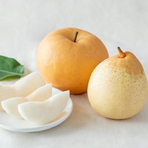 岡山県産あたご梨＆鴨梨