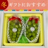 旬果蔵出しシャインマスカット