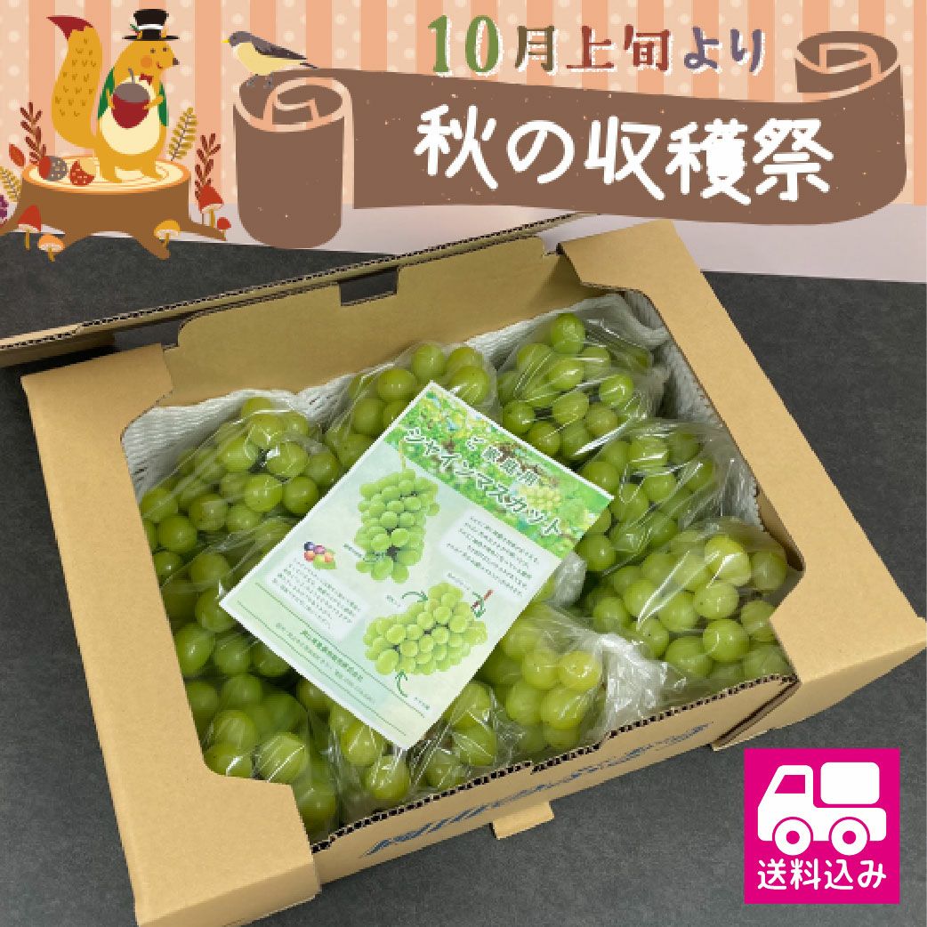ご家庭用訳アリ 岡山県産シャインマスカット5.0kg