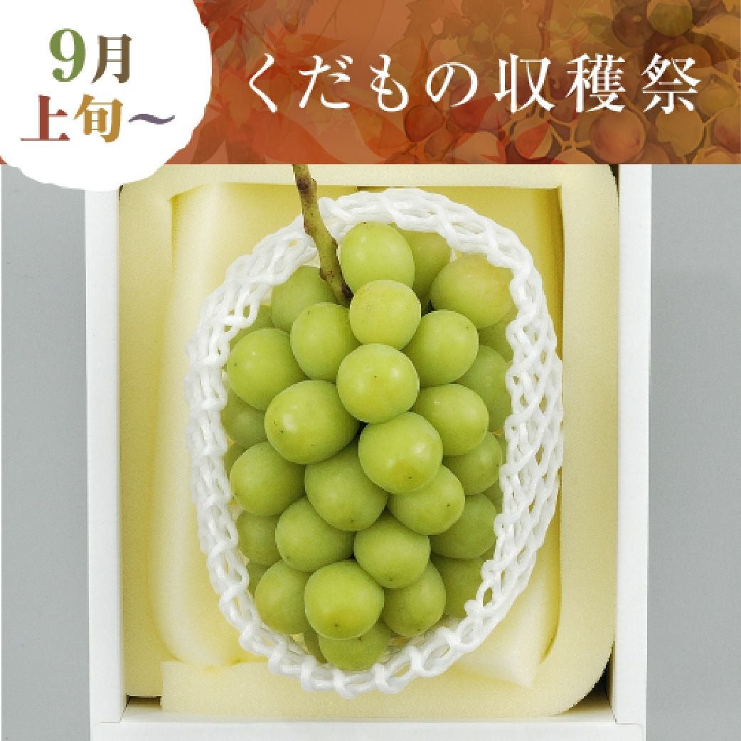 晴れの国おかやまのシャインマスカット