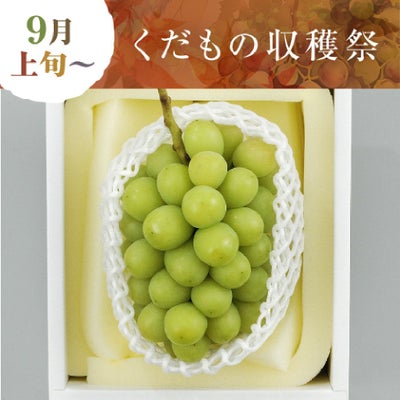 晴れの国おかやまのシャインマスカット