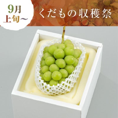 晴れの国おかやまのシャインマスカット