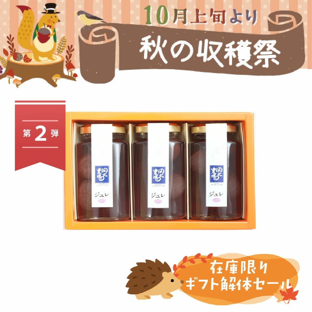 ギフト解体セール　岡大農場ジュレ