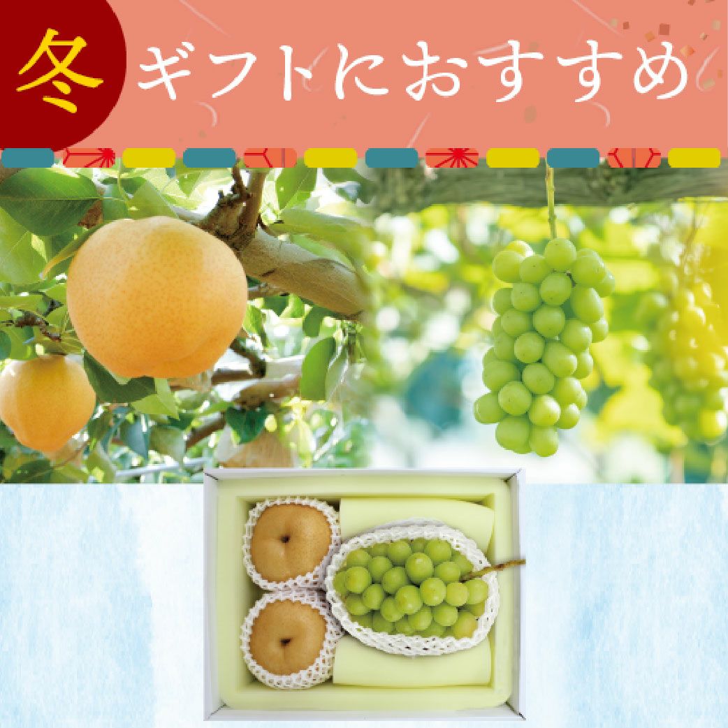 梨 | うまいな岡山