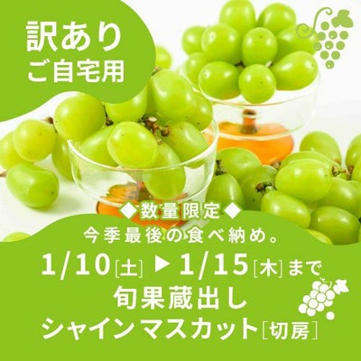 訳ありシャインマスカット