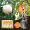 白桃＆黄金桃食べ比べ
